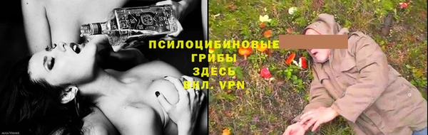 круглые Алзамай