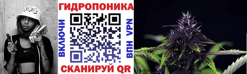 купить закладку  Неман  Конопля Amnesia 